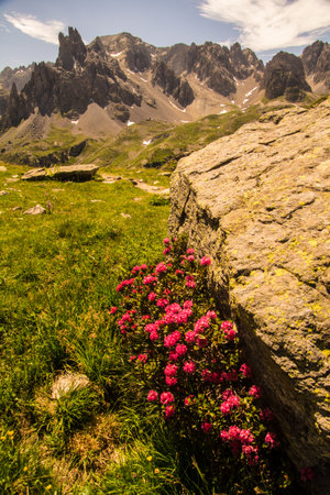 Nevache, Hautes-Alpes, Franceの写真素材