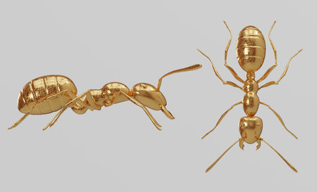 gold ant sculpture render viewの写真素材