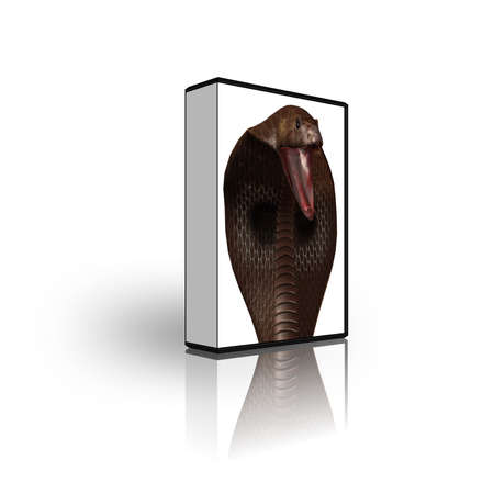 blank CD DVD box template isolated on whiteの写真素材