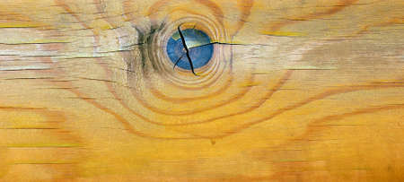 wood textureの写真素材