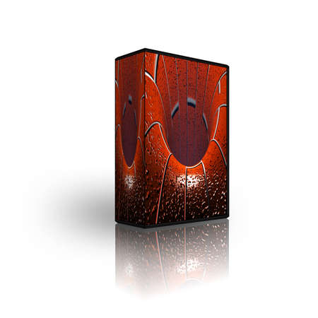 blank CD DVD box template isolated on white