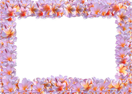 flowers abstract foto frame with white backの写真素材
