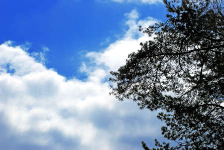 beautiful abstract summer sky with cloudsの写真素材