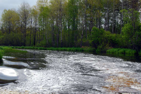 beautiful abstract forest river with blue sky の写真素材