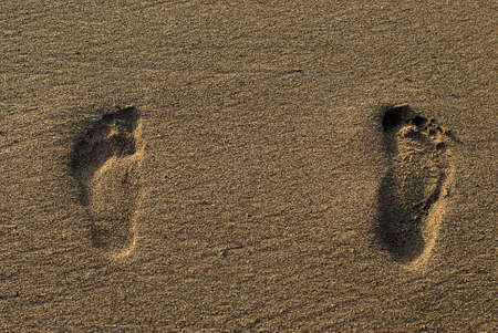 footprints on the Mediterranean Sea beach sandの写真素材