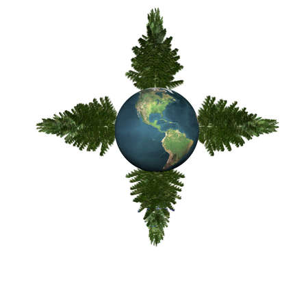 bare Christmas tree ready to decorate on earthの写真素材