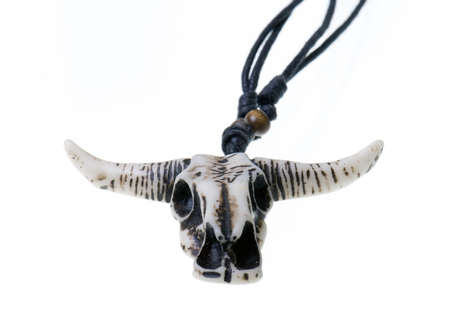 Longhorn Skull isolated on a white backgroundの写真素材