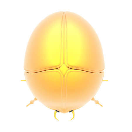 golden bug isolated on a whiteの写真素材
