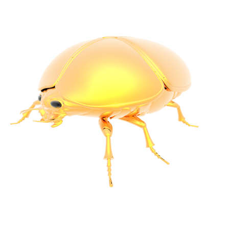 golden bug isolated on a whiteの写真素材