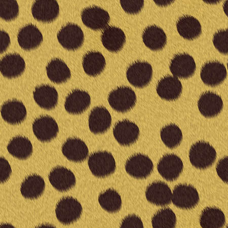 animal fur texture abstract background, seamlessの写真素材