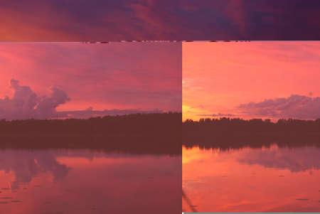 heart with big cat fur textureの写真素材