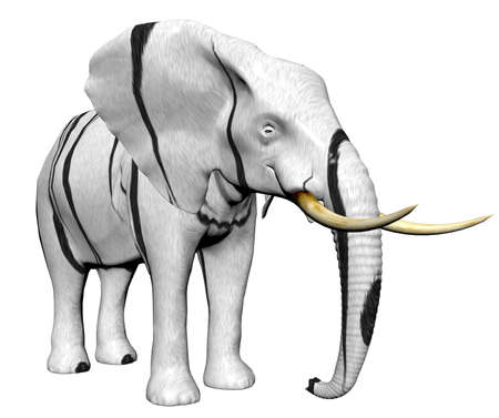 elephant in big cat fur isolated on a white background