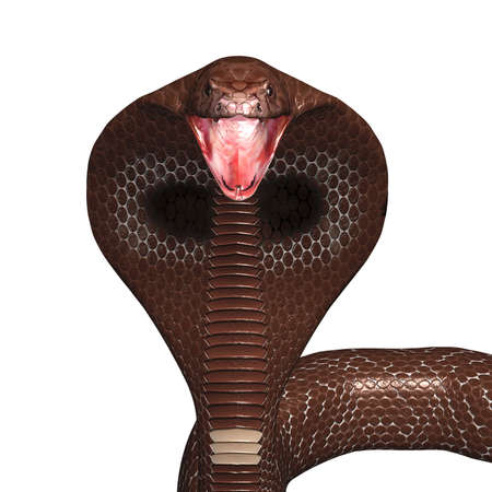 snake cobra in 3D with stars in backgroundの写真素材