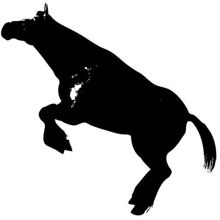 beautiful horseのイラスト素材