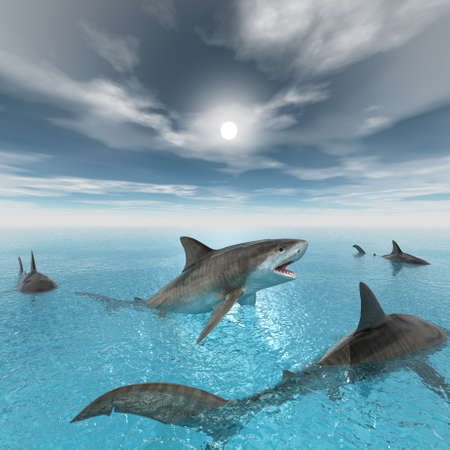tiger shark swimming computer 3d renderの写真素材