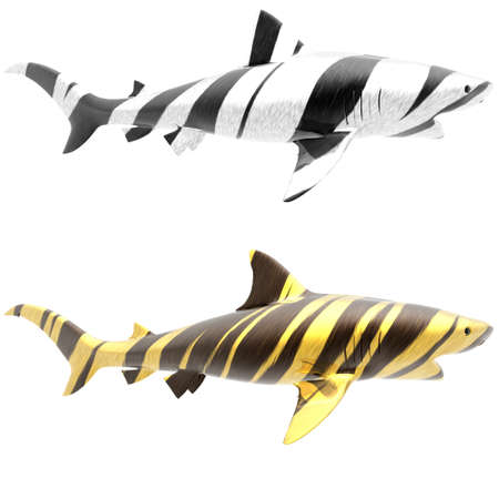 tiger shark in big cat fur isolated on a whiteの写真素材