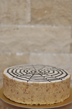 Fresh white chocolate mosaic cakeの写真素材