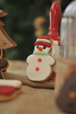 Fresh baked Christmas cookiesの写真素材