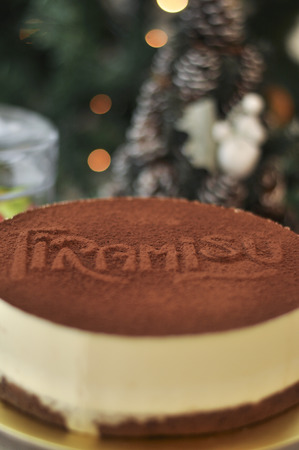 Fresh baked delicious tiramisu cakeの写真素材
