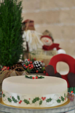 Delicious Marzipan Christmas Cakeの写真素材