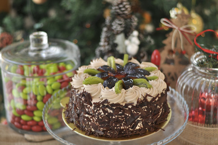 Fresh fruity chocolate cake