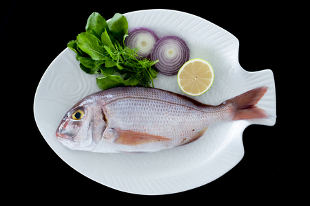 Red porgy as known as sea bream with rockets leaves served on white plate with black background