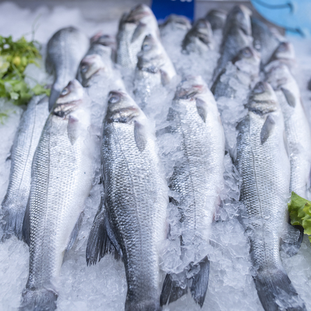 Fresh sea bass and sea breams on ice on supermarket seafood displayの写真素材