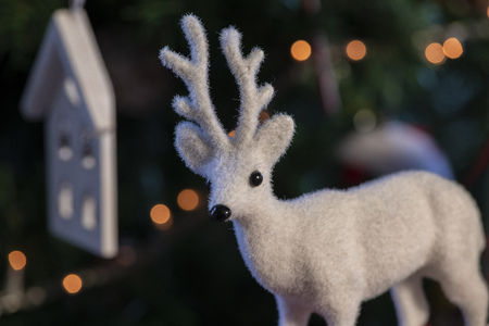 Christmas  deerの写真素材