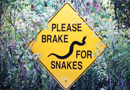 A yellow sign that is meant to protect snakes from getting killed on the road.の写真素材