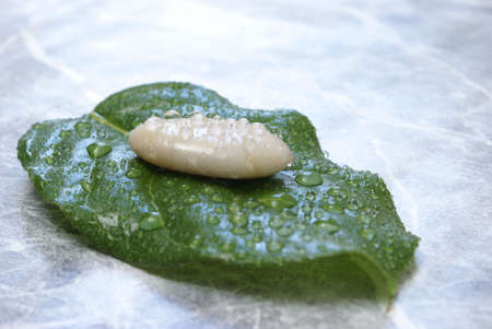 Some fresh water sprinkled over a stone and a leaf which is on a marble background.の写真素材