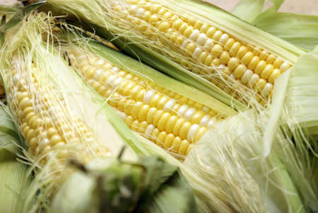 A macro of a few cobs of corn.の写真素材