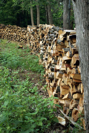 A large stockpile of firewood for heating in the winter months.の写真素材