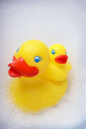 A closeup shot of a rubber duck in the bubble bath.の写真素材
