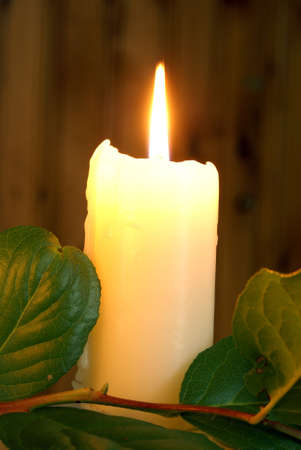 A lit white candle near a leafy branch.の写真素材