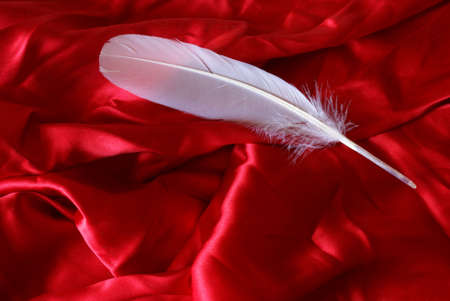 A feather and satin come together to unite in their elegant softness.の写真素材