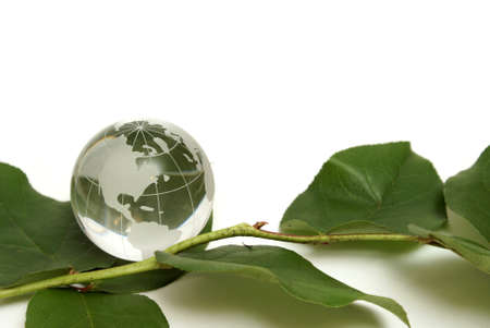 A glass globe and some fresh green leaves come together for some conservation concepts.の写真素材