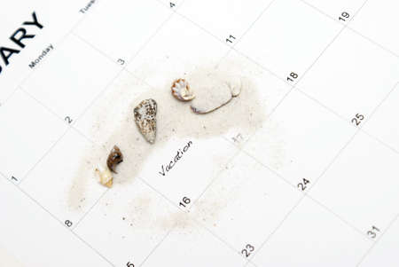 White sands and seashells remind you of a warm vacation to a tropical place.の写真素材