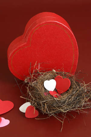 A genuine nest houses some heart shapes in the spirit of love.の写真素材