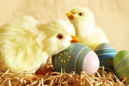 A closeup shot of Easter Eggs and Chicks.の写真素材
