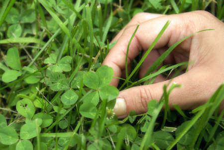 A woman points out a four leaf clover in the patch.の写真素材