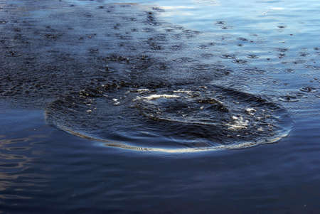 The after effect of something being dropped into a fresh body of water.の写真素材