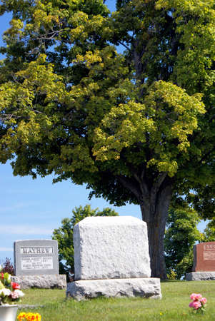 A graveyard with a large tree in the summer sunshine.