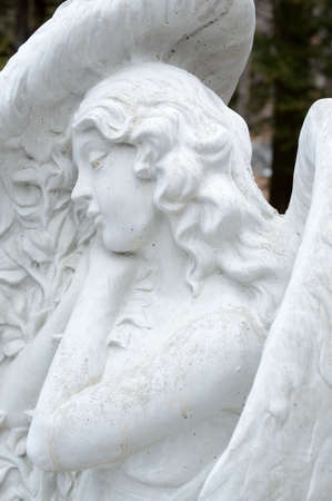A beautiful closeup of a guardian angel set in stone watching over the land of the garden.の写真素材