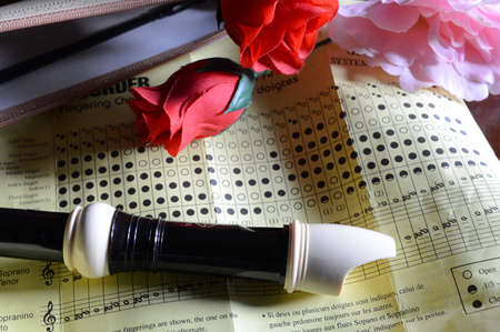 A closeup view of a typical recorder musical instrument for playing tones of classical melody.