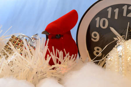 A Cardinal represents the seasonal changes that occur during the winter months.