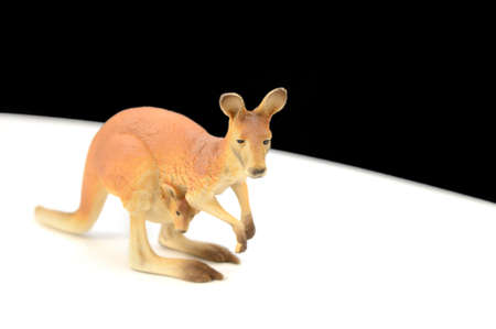 A closeup image of a kangaroo and joey hopping along the white path.の写真素材