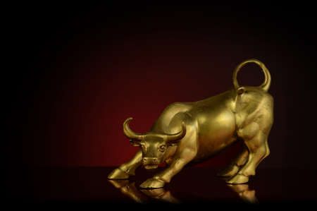 A closeup view of a strong brass bull over a dark gradient to showcase strength and endurance.の写真素材