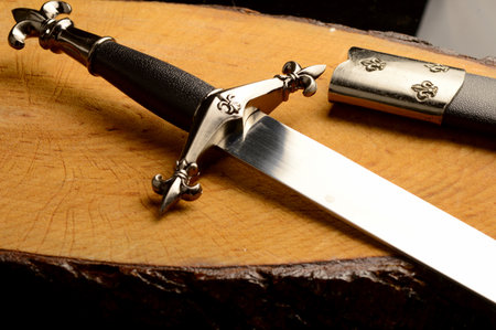 A closeup view of a dagger and sheath resting ontop of a fresh cut piece of wood.の写真素材