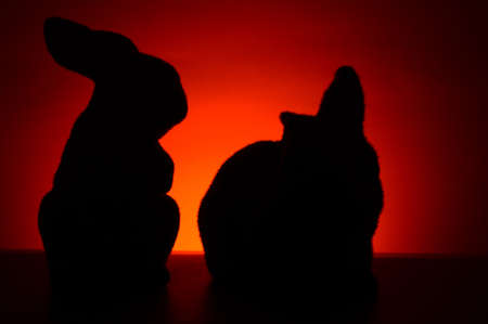 A silhouette of a couple furry bunny rabbits during the red and orange hues of the sunrise.の写真素材