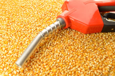 A red gas pump nozzle and handle on a pile of whole kernel corn to represent biofuel concepts.の写真素材